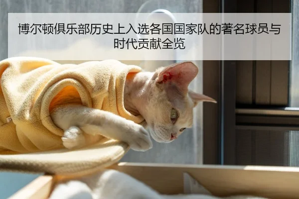 博尔顿俱乐部历史上入选各国国家队的著名球员与时代贡献全览
