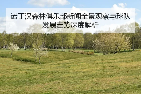 诺丁汉森林俱乐部新闻全景观察与球队发展走势深度解析