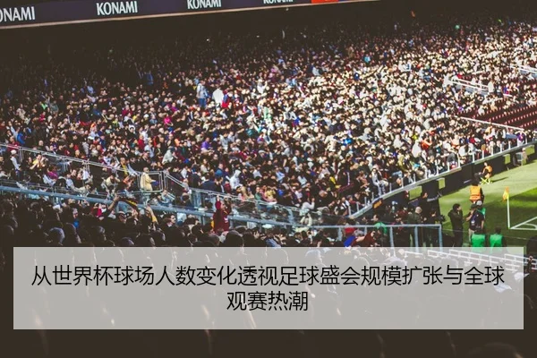 从世界杯球场人数变化透视足球盛会规模扩张与全球观赛热潮