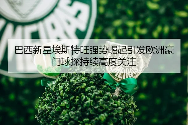巴西新星埃斯特旺强势崛起引发欧洲豪门球探持续高度关注 - 新闻资讯相关报道缩略图